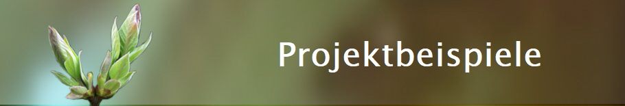 Projektbeispiele