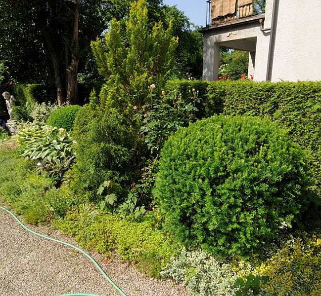 Gartenpflege Gartenbau Flohr 3