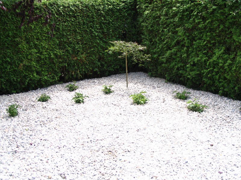 Pflanzbeispiel Gartenbau Flohr 1