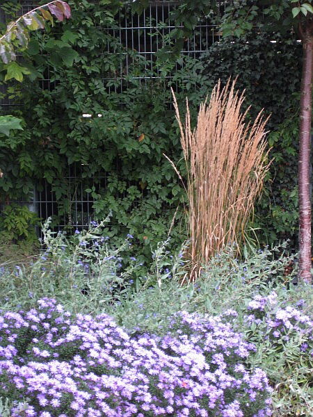 Pflanzbeispiel Gartenbau Flohr 8