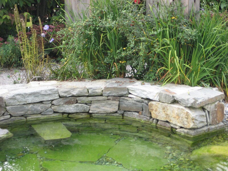 Pflanzbeispiel Gartenbau Flohr 9