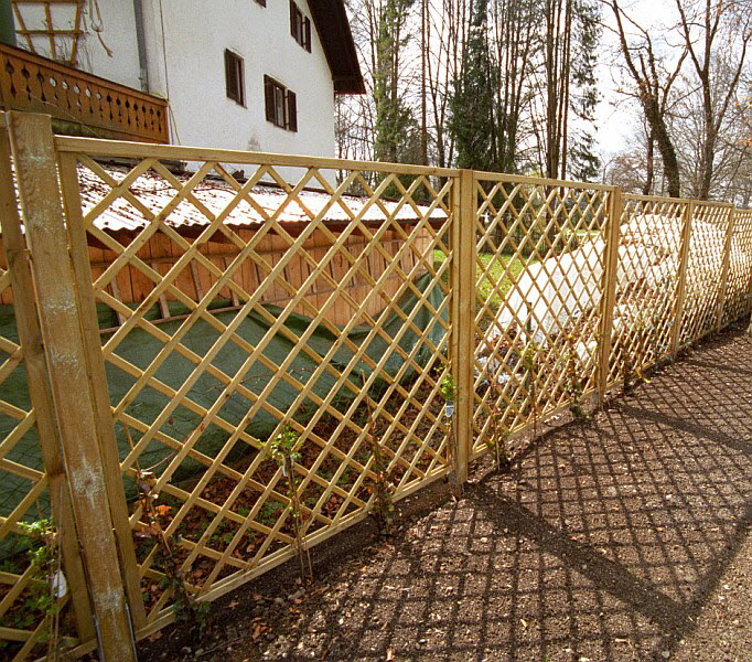 Sichtschutz mit Bepflanzung Gartenbau Flohr
